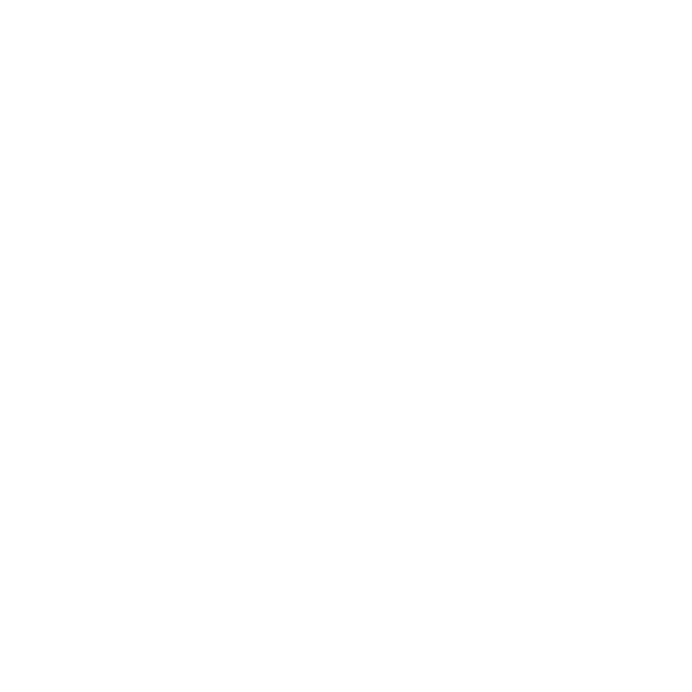 Icon Delivery DDBricks