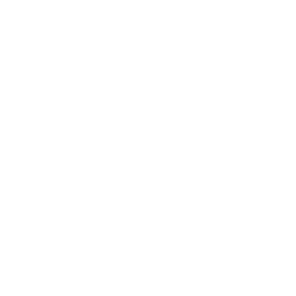 Icon Pricing DDBricks