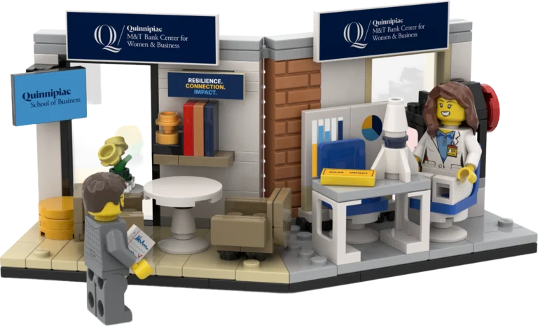 Quinnipiac university dd bricks set