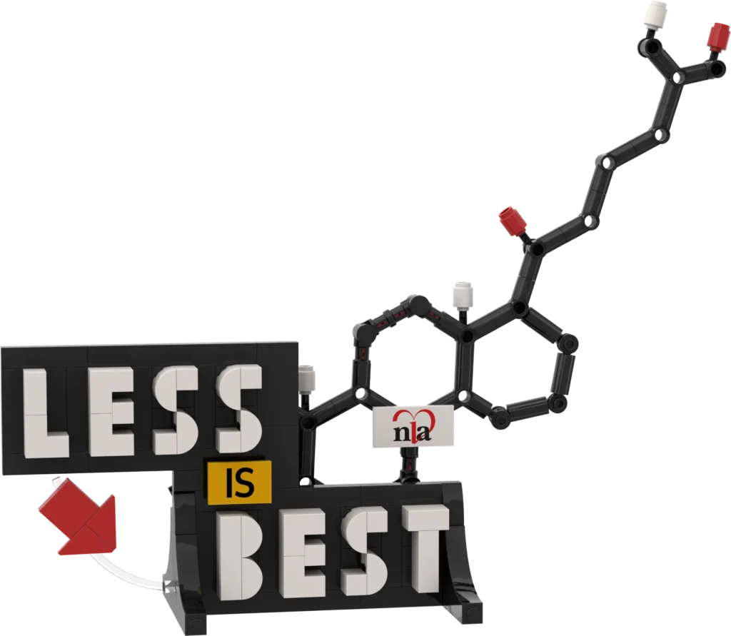 Less Is Best Bricks Set
